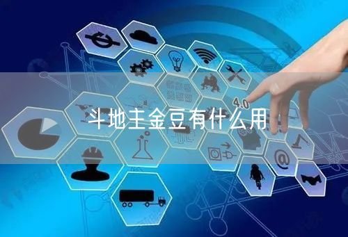 斗地主金豆有什么用